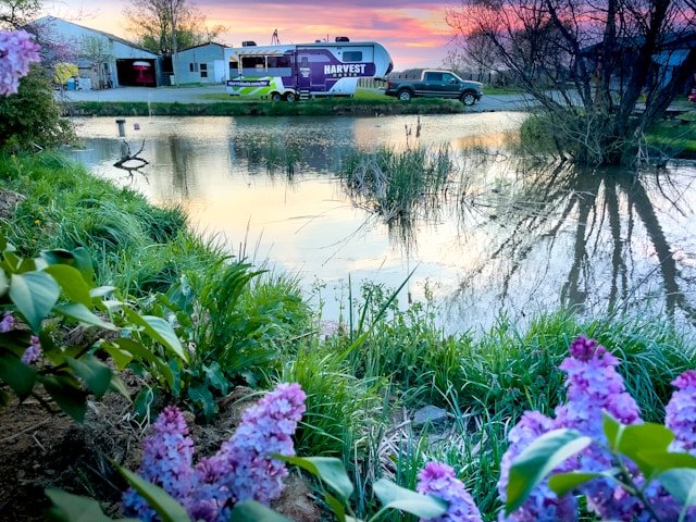 RV park with flowers in the foreground
